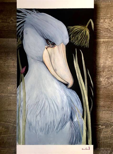 Dissapproving ShoeBill Bird on 12x24 Gallery Canvas . Sold! Shoebill ...