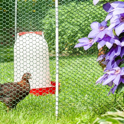 Electric Fence And Netting For Poultry Premier Supplies