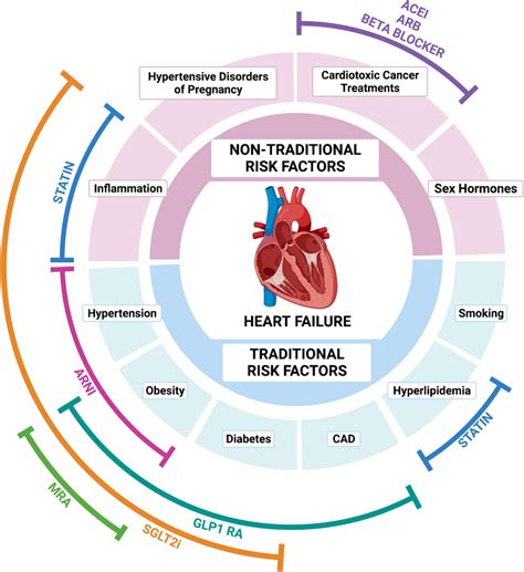 Heart Attack Risk Factors