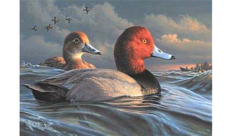 Federal Duck Stamp Collection For Sale Informacionpublica Svet Gob Gt