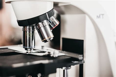 Compound Vs Dissecting Microscope What S The Difference Optics Mag