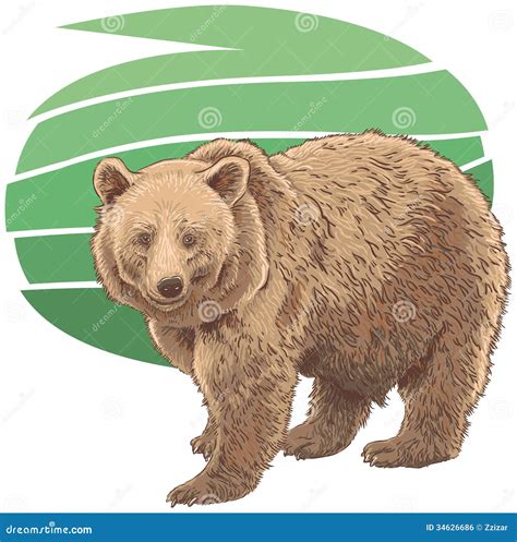 Kodiak Cartoons Illustrations And Vector Stock Images 1094 Pictures To