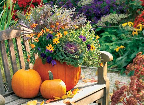 Fall Pumpkin Planter Ideas Garden Gate