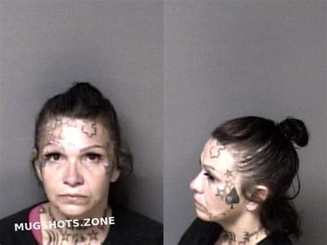 Mayer Pamela Dawn Gaston County Mugshots Zone