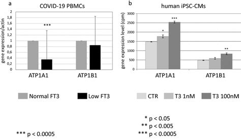 Mrna Expression Levels Of The Genes Atp1a1 And Atp1b1 In The Pbmc Of