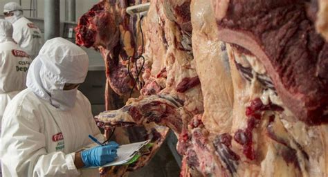 Abi Exportaci N De Carne Bovina Alcanz R Cord De Us Millones En