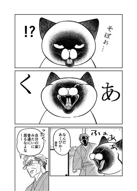 野良猫の寝相に夢中な元極道の話。