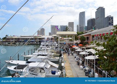 Parque De Bayfront En Miami Fotograf A Editorial Imagen De America