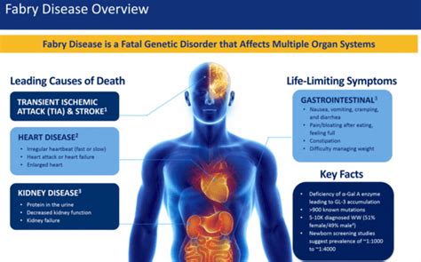 Fabry Disease - Symptoms and Treatment - iDiseases.com