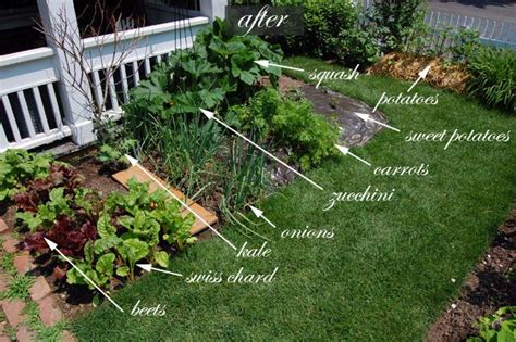 Front Yard Vegetable Garden Layout - Garden Design Ideas