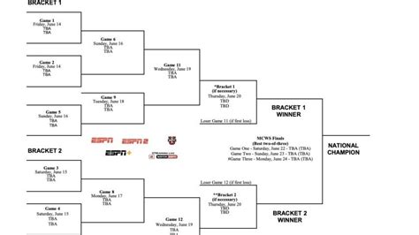 Misericordia Wins The 2024 Ncaa Diii Baseball Championship