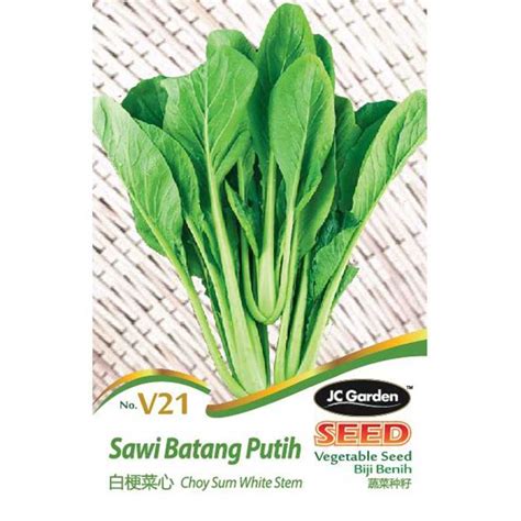 JC Garden V21 Vegetable Seed Choy Sum White Stem Sawi Batang Putih