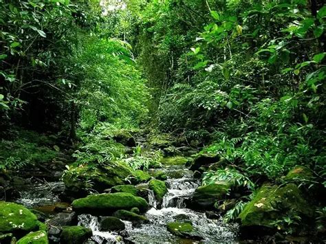 O Que Paisagem Cultural Significado E Exemplos No Brasil E No Mundo