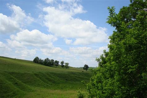 Ravine With Green Grass And Trees Stock Photo Image Of White Herb