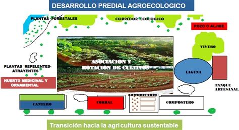 El Conuco de Víctor Propuesta para enfrentar la Crisis Alimentaria