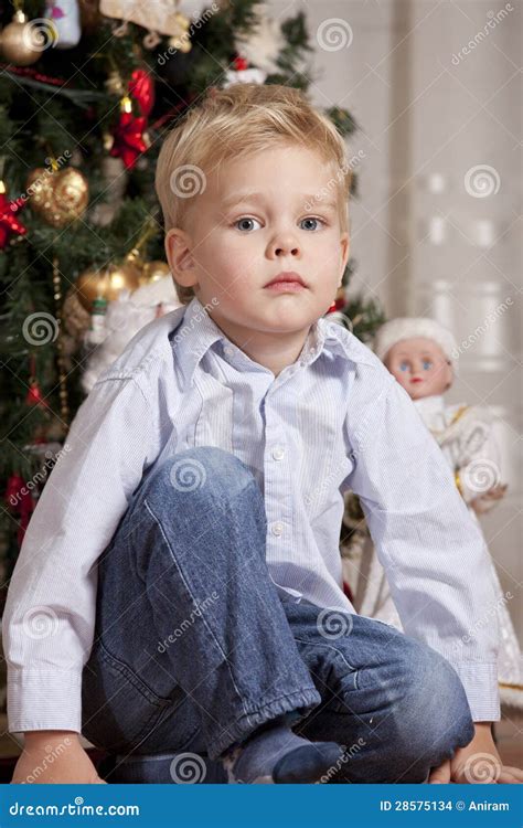 Boy At Christmas Stock Photo Image Of Cheerful Elegant 28575134