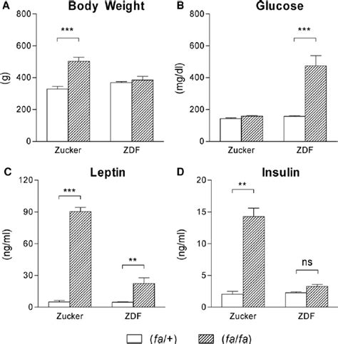 Body Weight A Plasma Concentrations Of Glucose B Leptin C