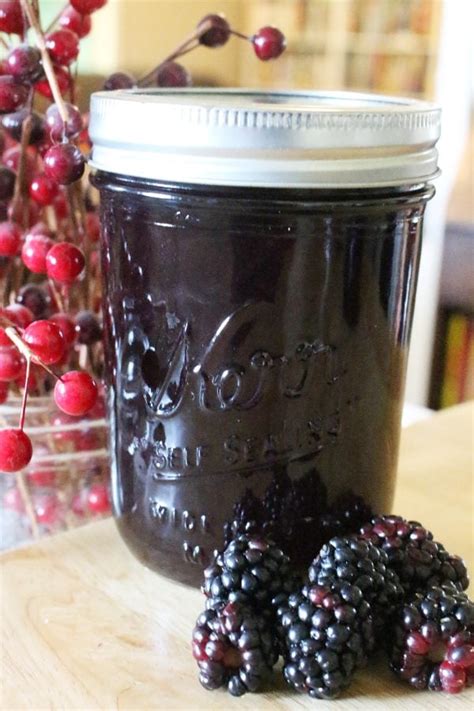 Easy Blackberry Jelly Canning Recipe | Bryont Blog