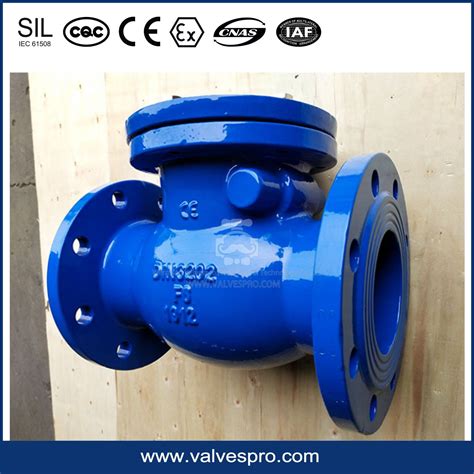 Din F Ductile Iron Cast Iron Flanged Swing Check Valve China