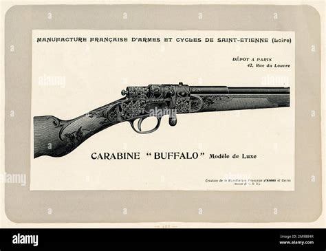 carabine buffalo buffalo rifle de luxe model  mimard blachon