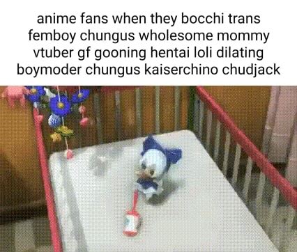 Anime Fans When They Bocchi Trans Femboy Chungus Wholesome Mommy Vtuber Gf Gooning Hentai Loli