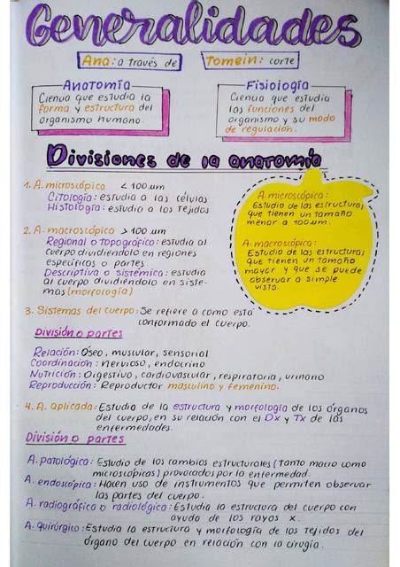 Morfofisiologia Generalidades De Anatomia Images Sexiz Pix