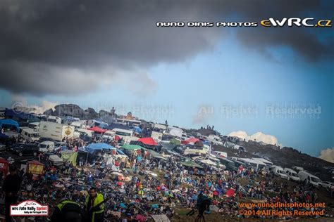 Wrc Fafe Rally Sprint