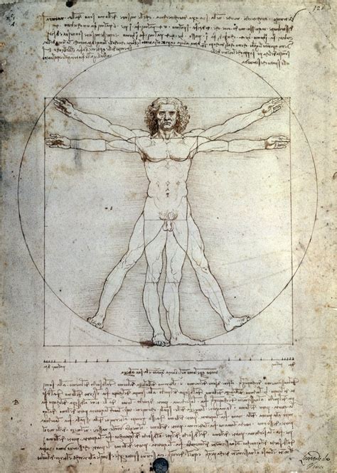 Léonard de Vinci ses 5 œuvres les plus célèbres Human Figure Drawing