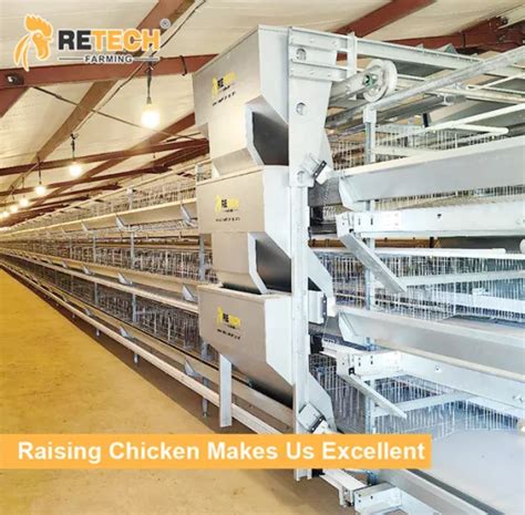 Hot Automatic Galvanized Poultry Battery Farm Chicken Cage Layer And