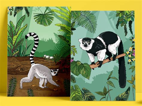 Lemur Habitat Illustrated Posters by Root Studio on Dribbble