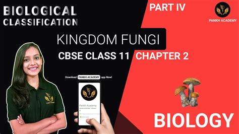 Kingdom Fungi Class 11 Biology Chapter 2 Biological Classification