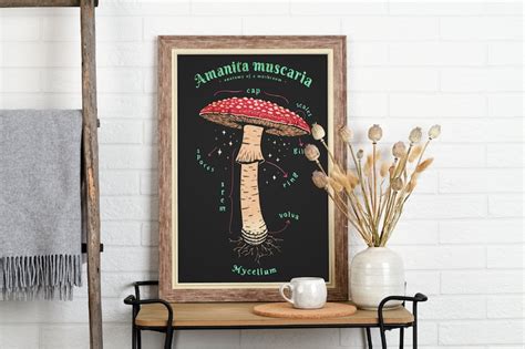 Amanita Mushroom Art Print Amanita Anatomy Poster Print Mushroom Wall