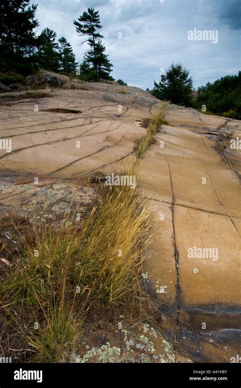 Canadian Shield High Resolution Stock Photography And Images Alamy