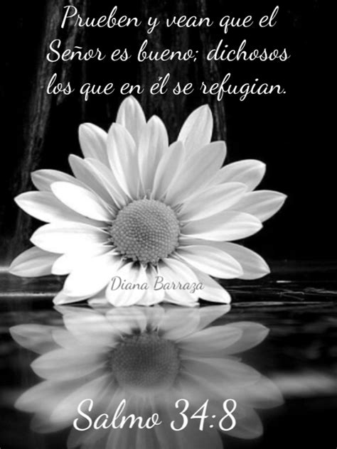 Pin By Mary Gallardo On Dios Lo Es Todo Lockscreen Lockscreen