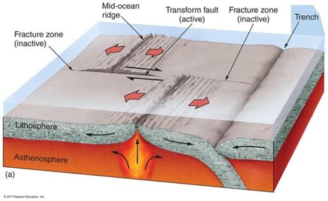 Mid-Ocean Ridges and Rift Valleys - Plate Tectonics for 5th grade