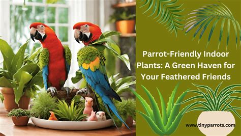 Parrot Friendly Indoor Plants A Green Haven For Your Feathered Friends