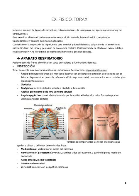 Solution Examen Fisico De Torax Studypool