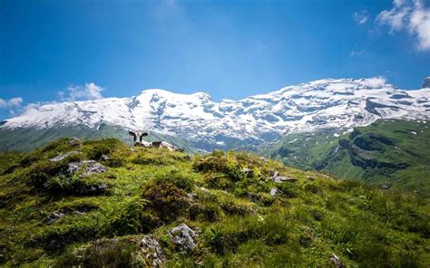 Best Swiss mountain resorts: 6 locations