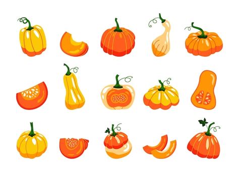 Calabazas de otoño dibujos animados cortados por la mitad y lobulillos