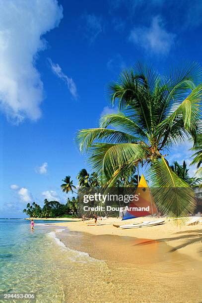 Barbados Climate Photos And Premium High Res Pictures Getty Images