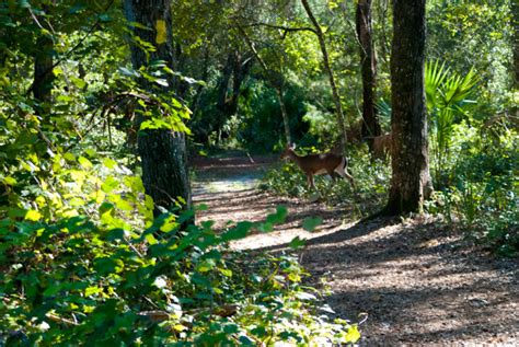 Hiking at Kelly Park – Florida Hikes