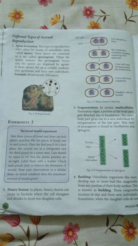 Different Types Of Asexualreproductioncell Wall1 Spore Formation Thi