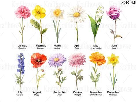 Watercolor Birth Month Flowers PNG Clipart Bundle of 12 DIY Birthmonth Flower Clipart ...