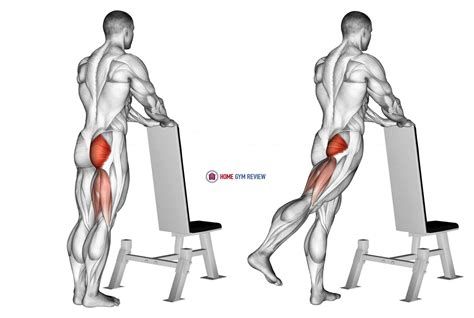 One Leg Kickback With Bench Support Home Gym Review