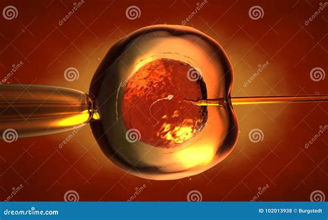 3d Illustration Of An Artificial Insemination Of An Egg Cell Stock