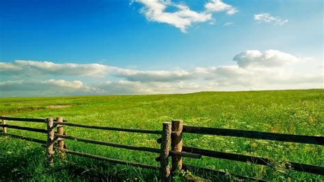 Spring Meadow Wallpapers Wallpaper Cave