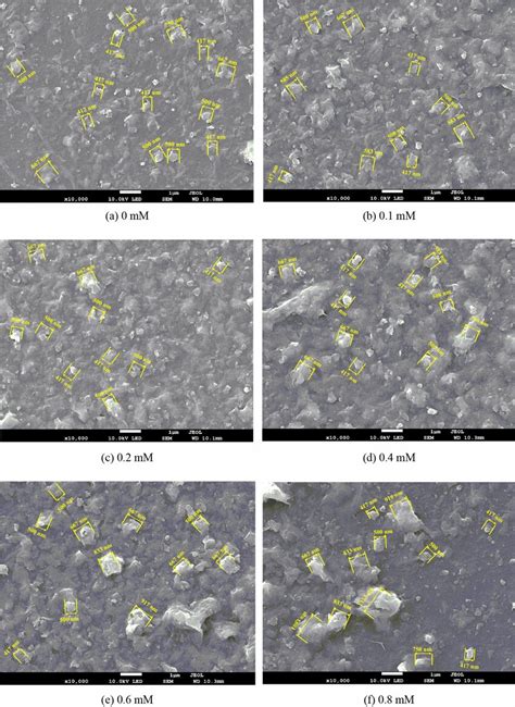 Results Of Sem Tests On Colloidal Particles Generated At Solutions Of Download Scientific