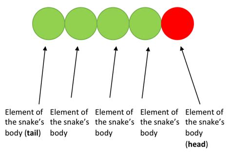 Snake – Learn Java Coding