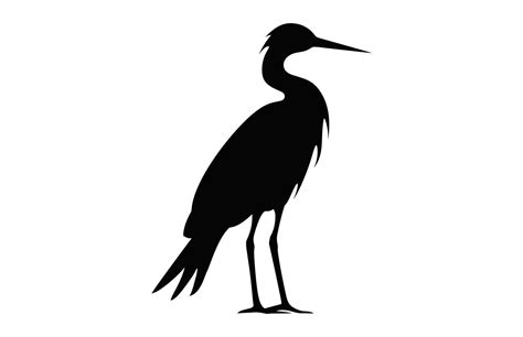 Snowy Egret Bird Silhouette Clip Art Egret Black Silhouette 45638078