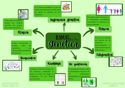 Mapa Conceitual Sobre Genetica Librain